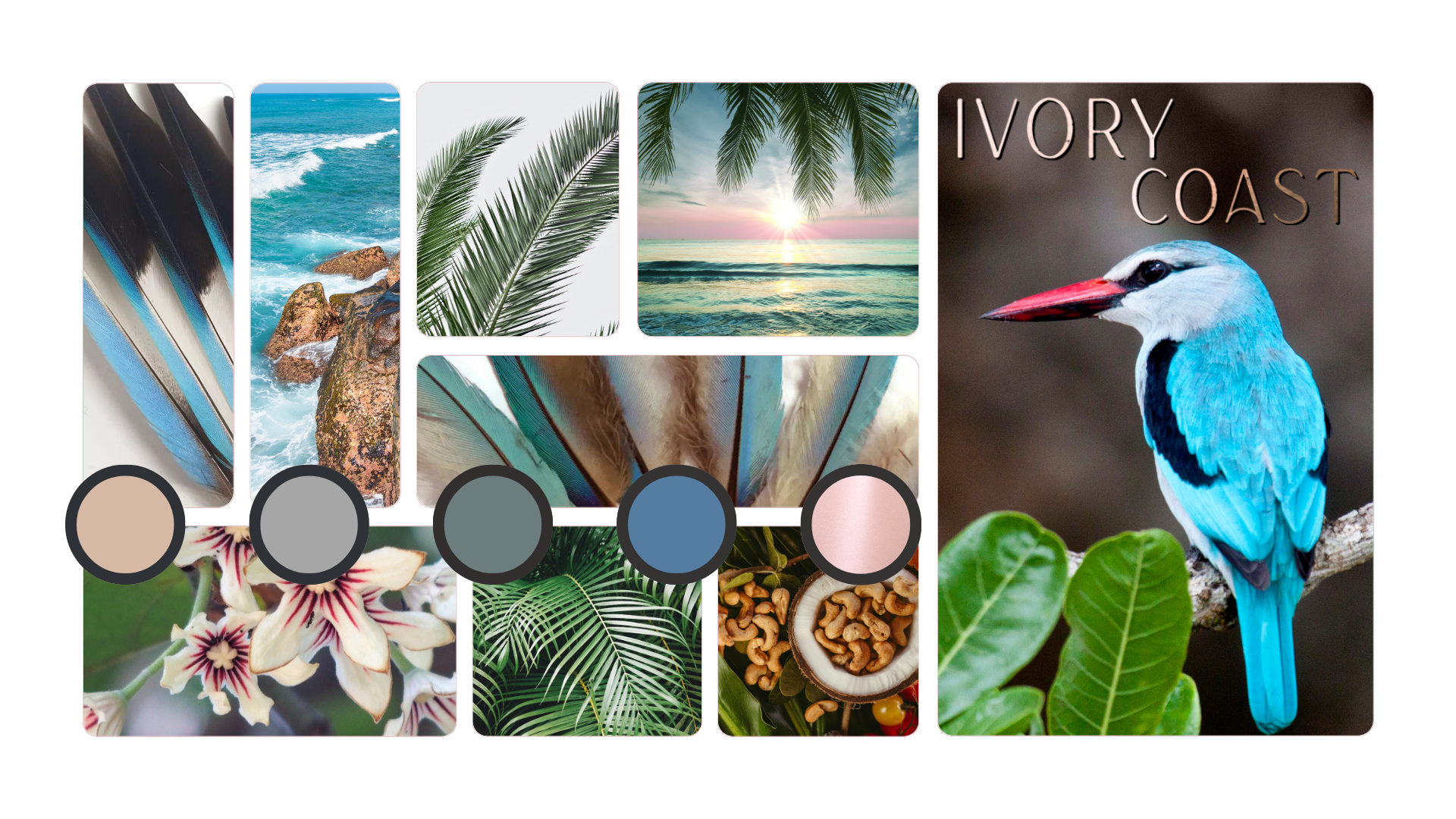 Food of of the Gods Ivory Coast Moodboard © Mikhaila Shelle