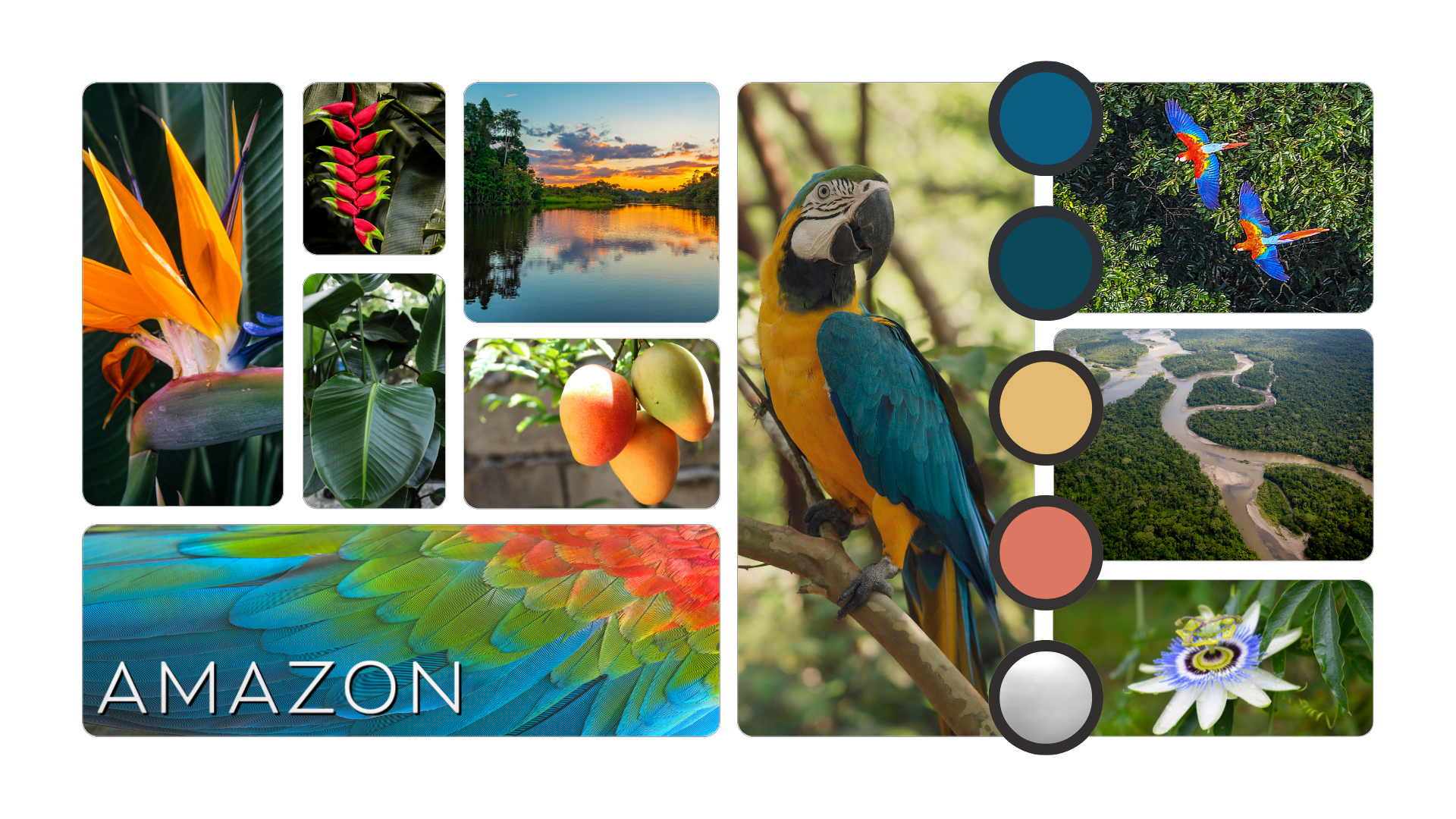 Food of the Gods Amazon Moodboard © Mikhaila Shelle