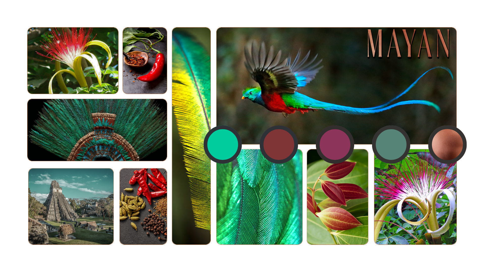 Food of the Gods Mayan Spice Moodboard  © Mikhaila Shelle