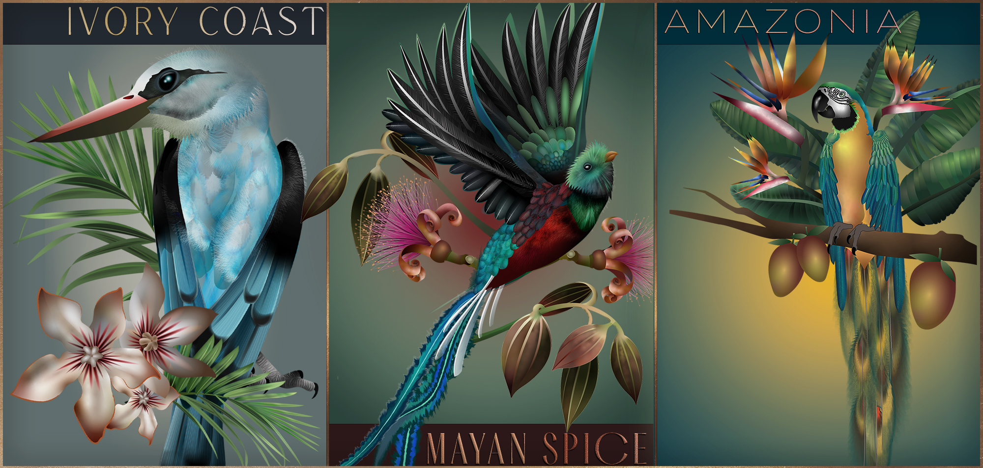 Food of the Gods Packaging Illustrations © Mikhaila Shelle