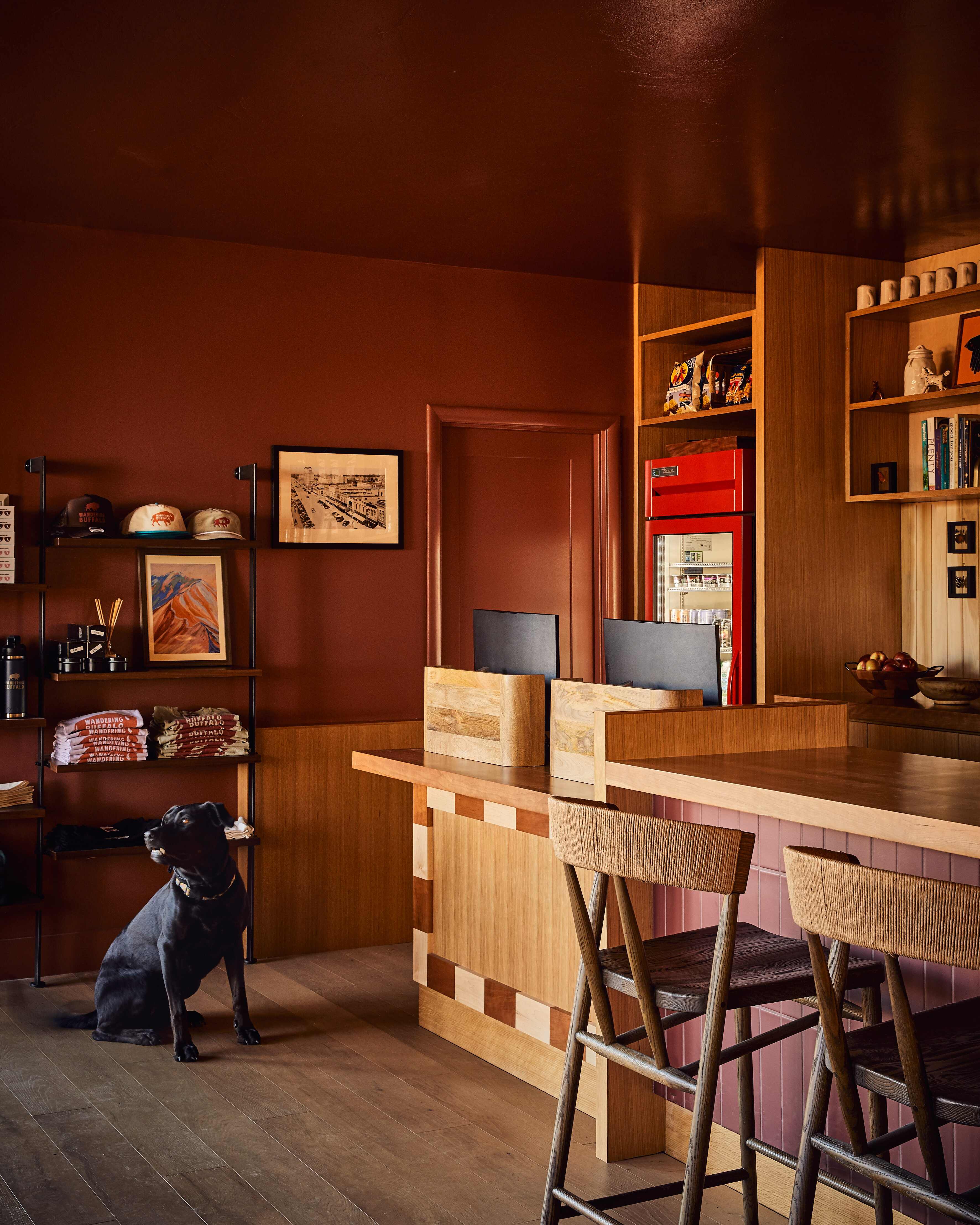 Cozy interior of a room with wooden counter, two chairs, shelves with merchandise, and a black dog sitting on the floor.