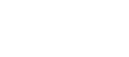 LevelOps is a Shopify Plus Partner