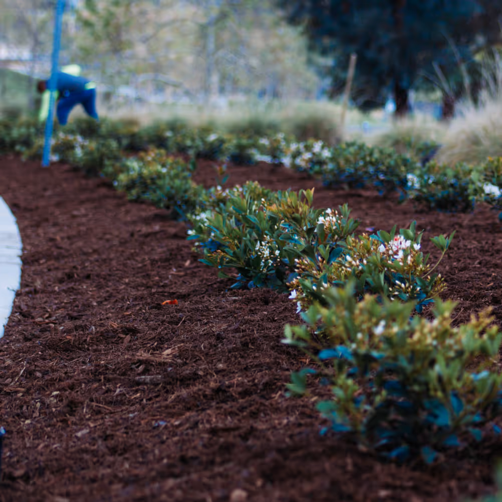 Mission Landscape Companies mulch installation