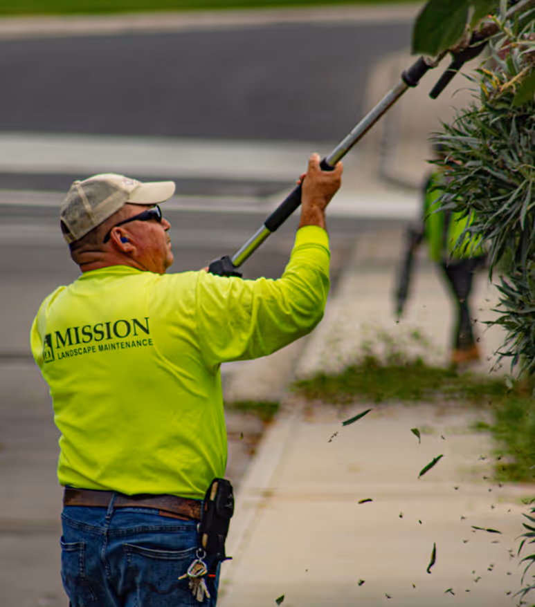Mission Landscape Companies employee hedging 