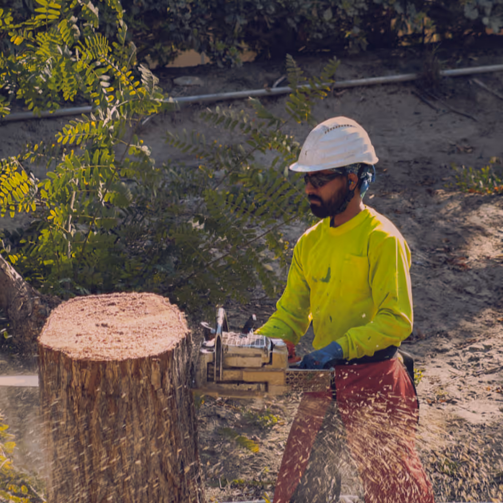 Mission Landscape Companies employee cutting a tree stump