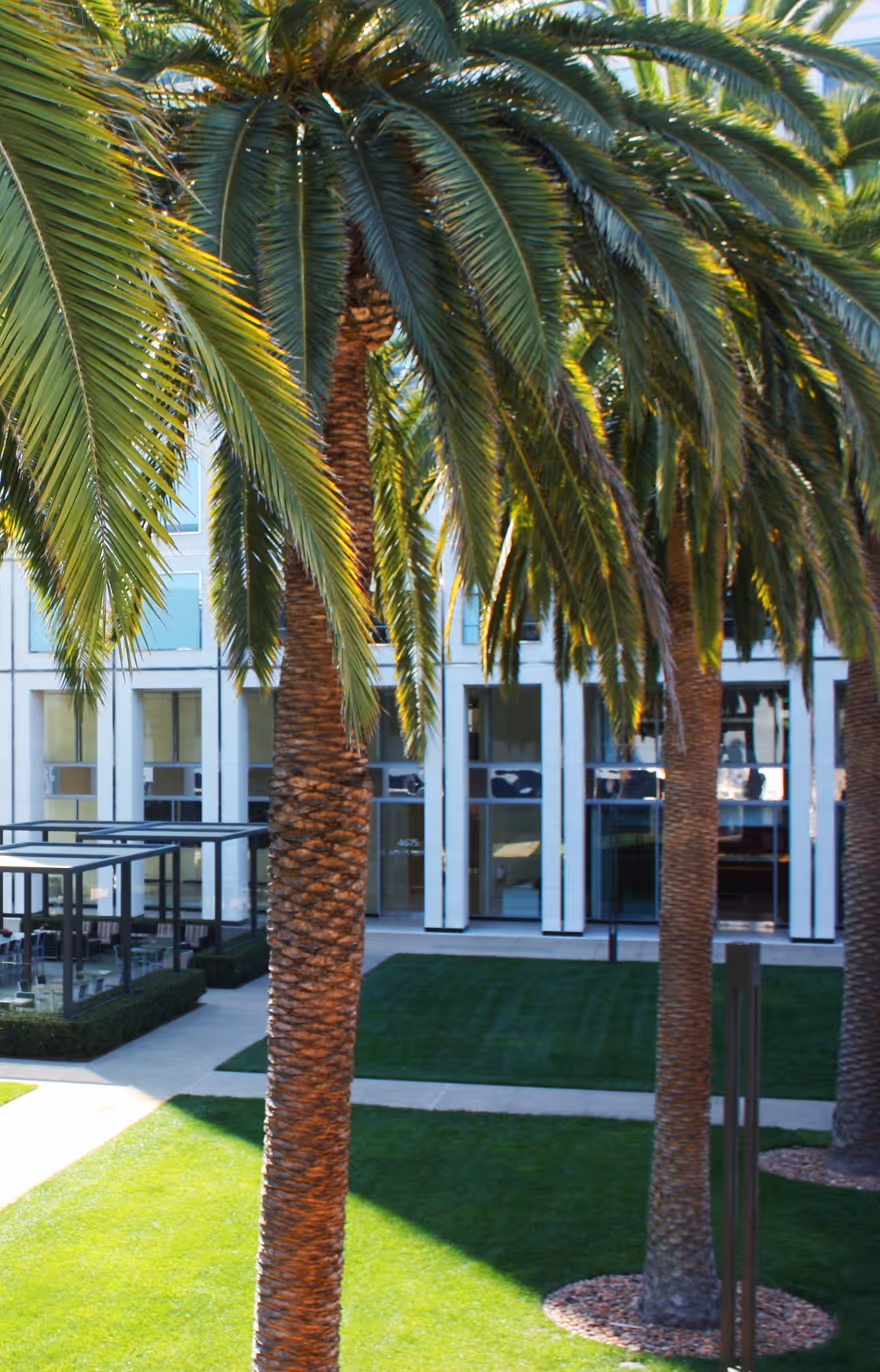 Tree pruning by Mission Landscape Companies