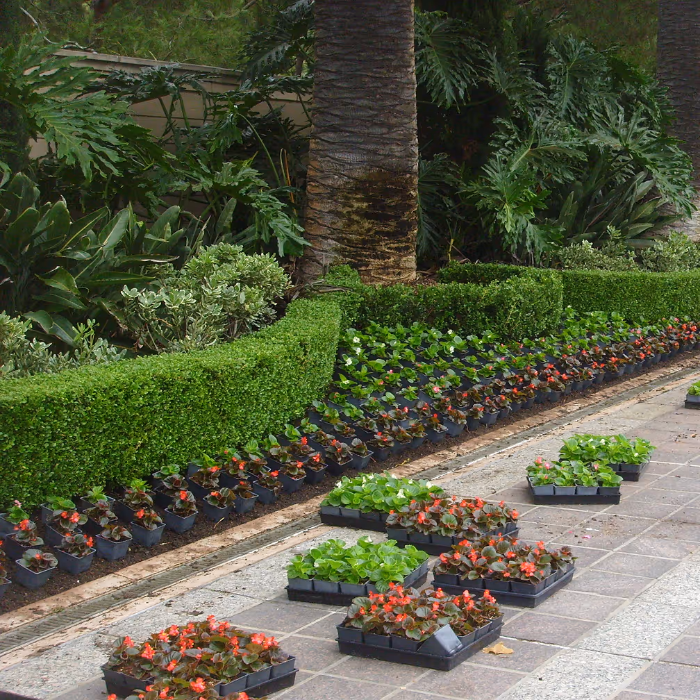 Landscape development project by Mission Landscape Companies