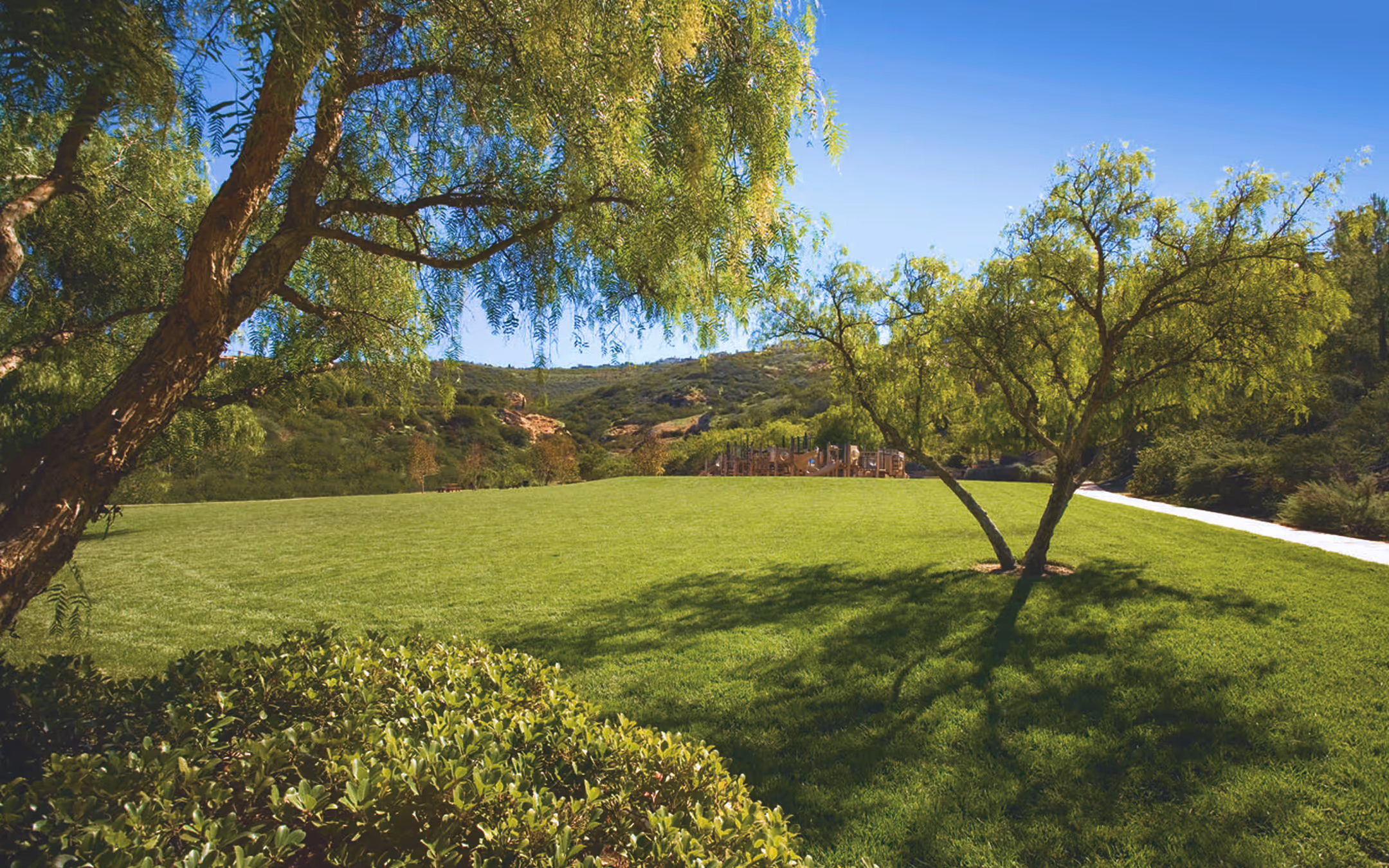 orange county landscape maintenance project