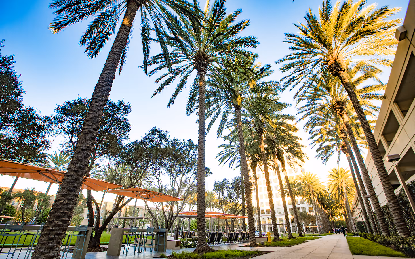 Orange County Landscape development project