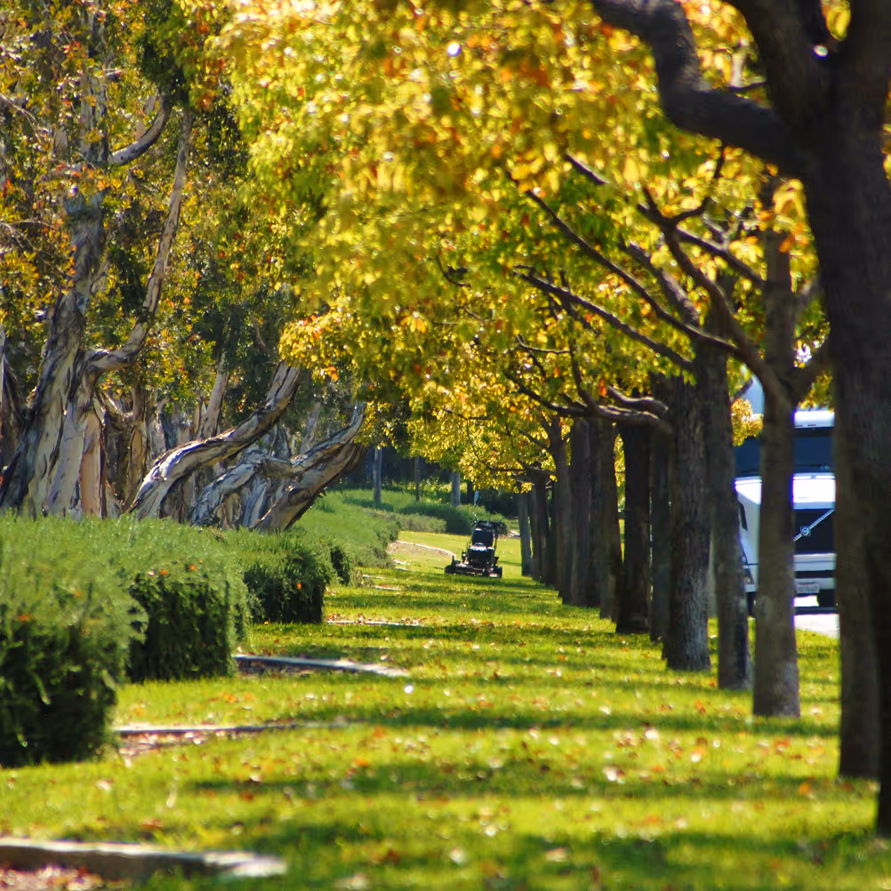 Mission Landscape Companies water management project