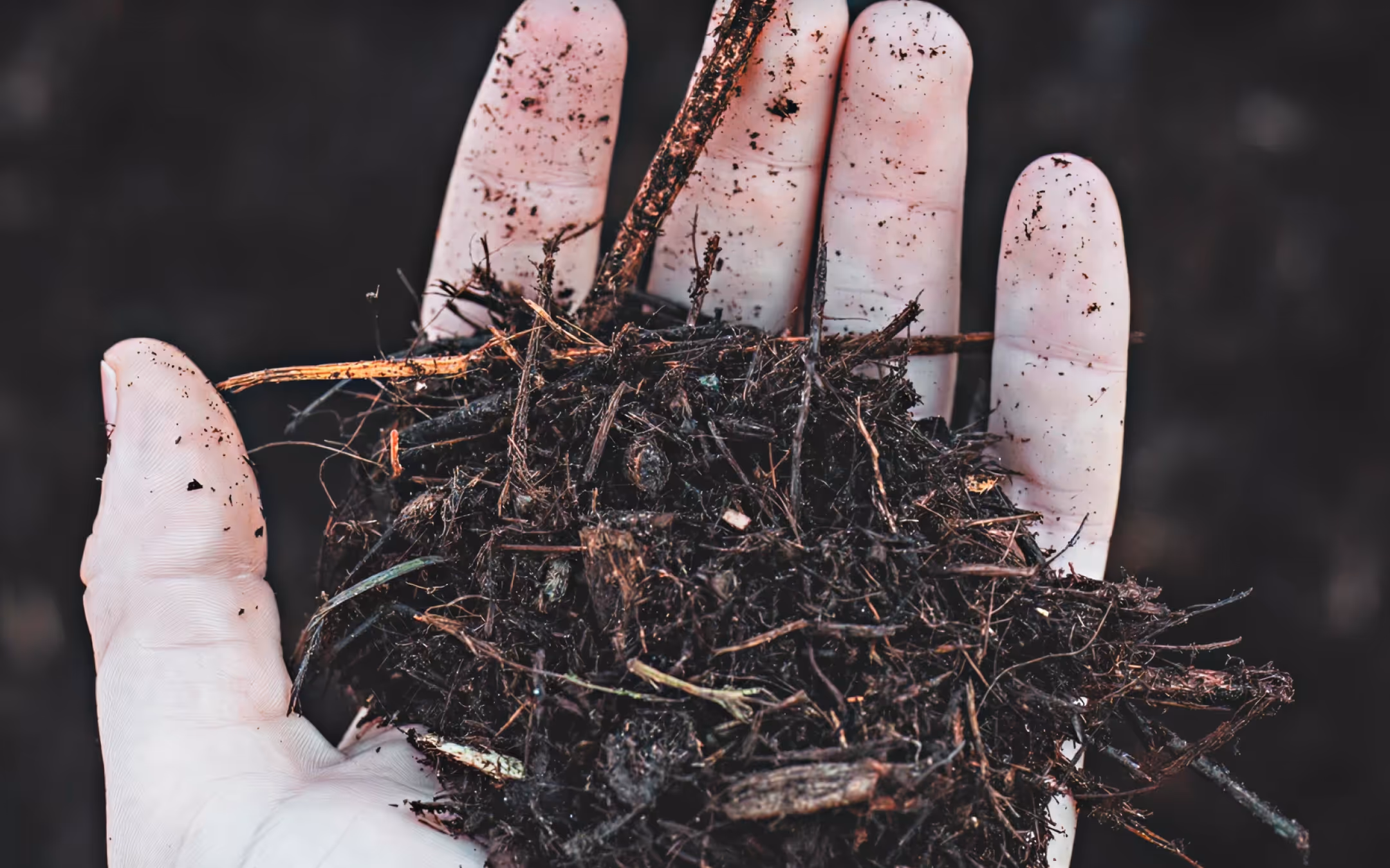 Mulch for the Summer