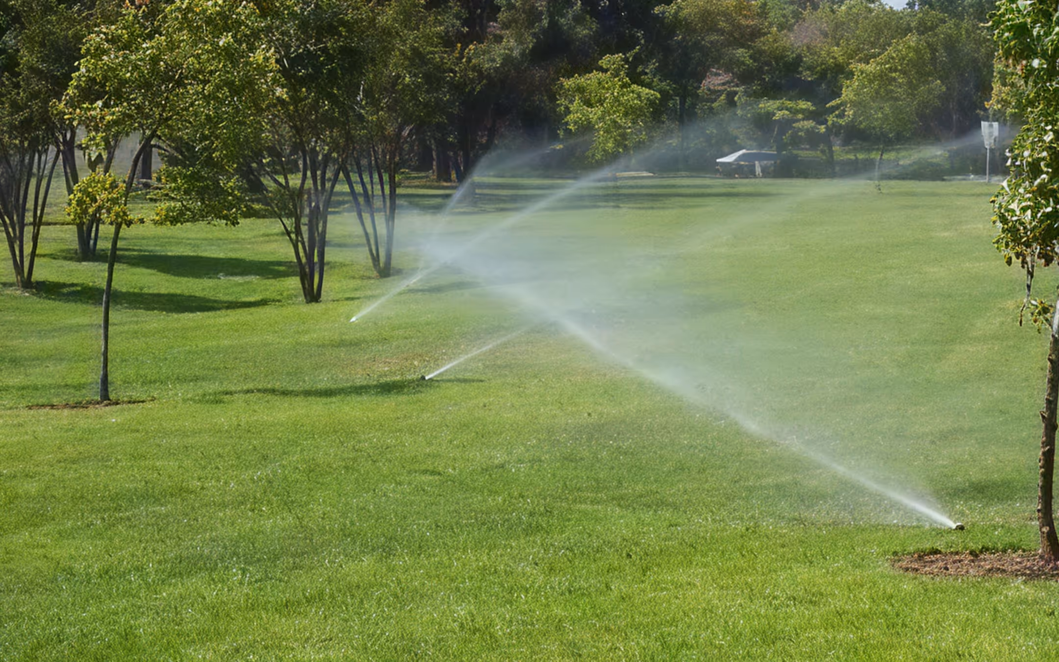 Summer Irrigation Tips