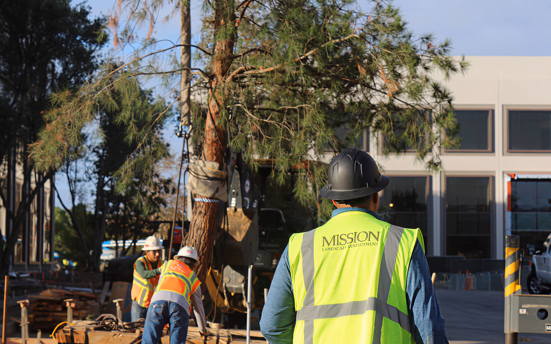 Mission Landscape Culture: Meet Our Landscape Development Sr. Project Manager, Steve