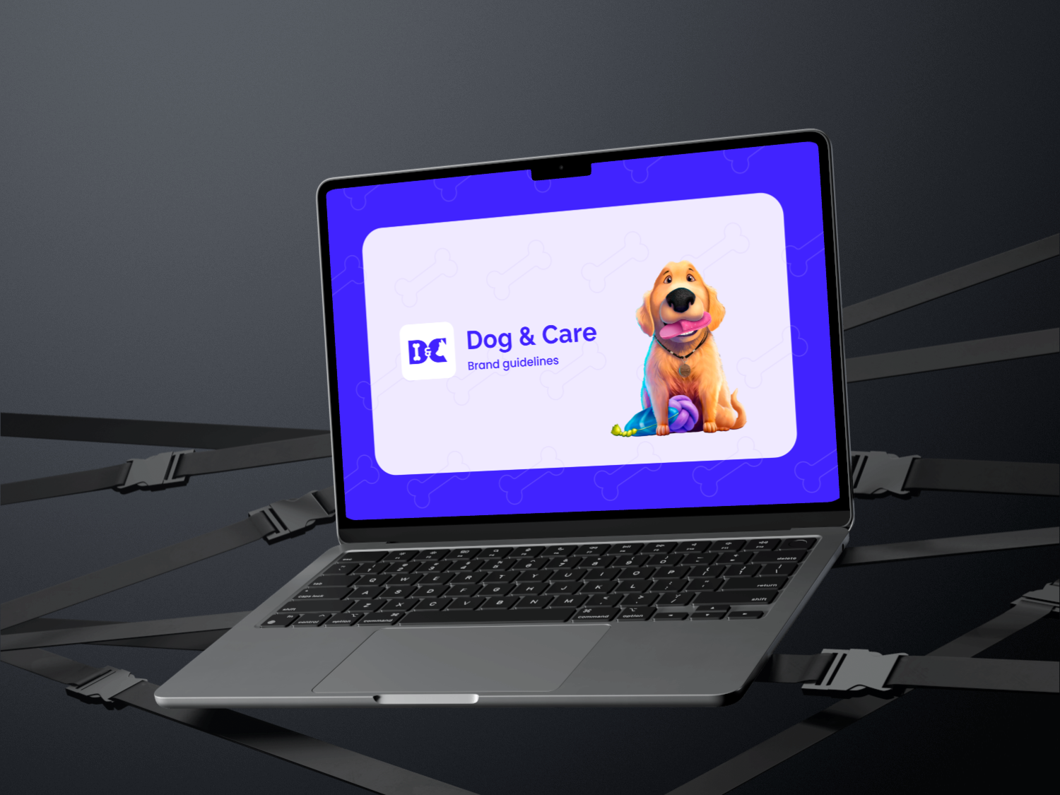 Mobile app and brand identity design for pet care startup