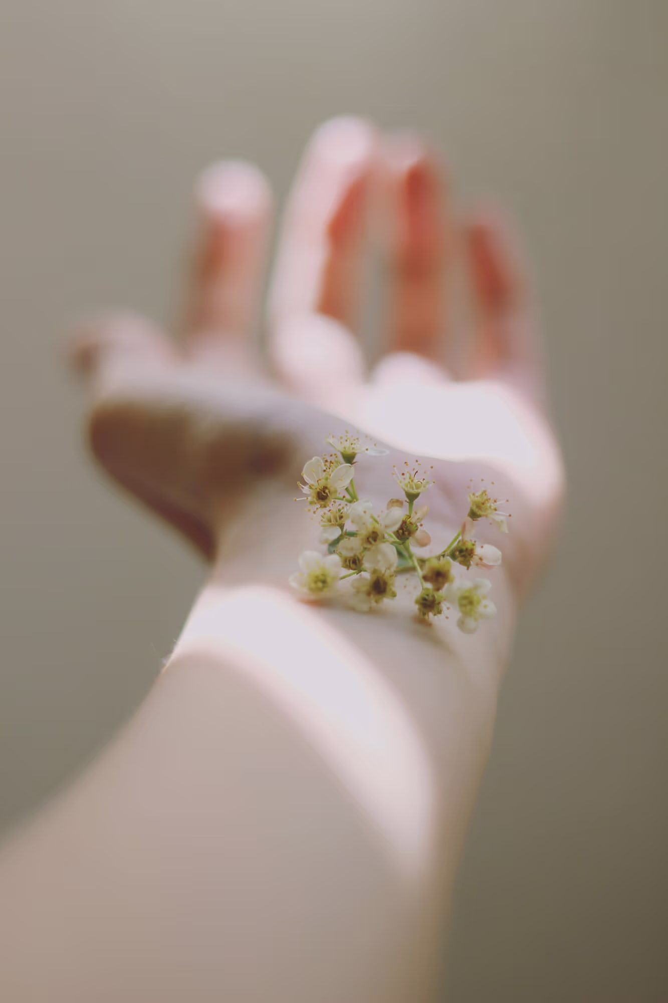A person's hand with a flower on it.