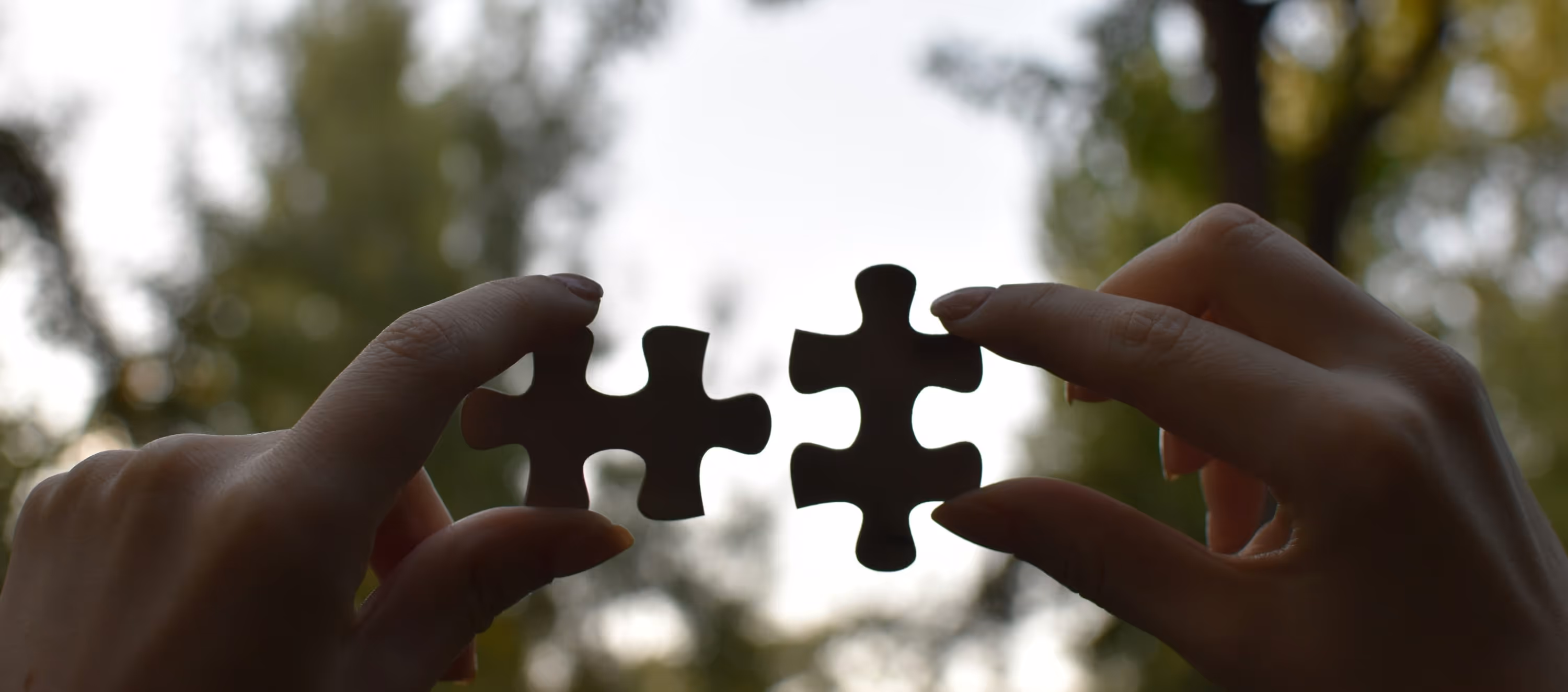 Two hands holding two puzzle pieces, with the sky in the background. 