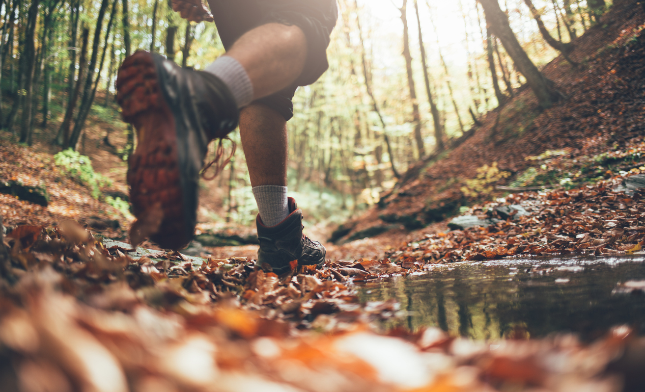 Addiction Treatment in Tennessee