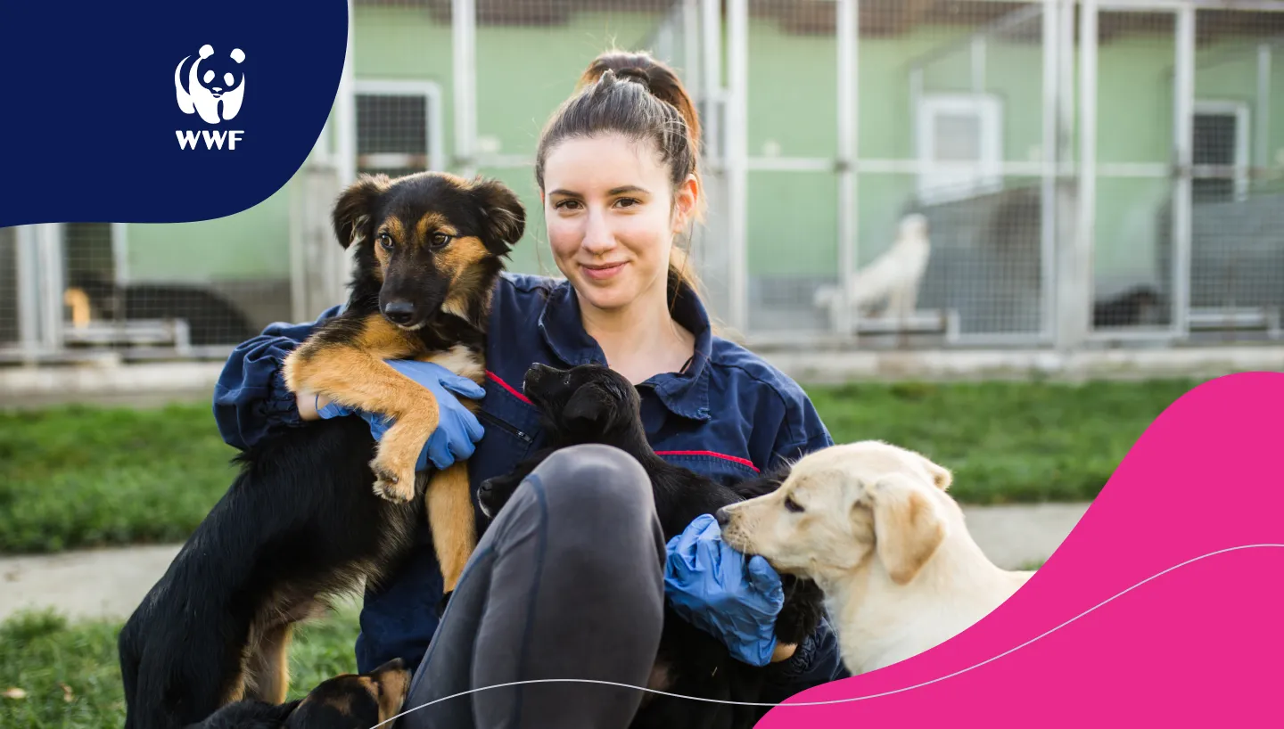 Absorb-WWF-Case-Study