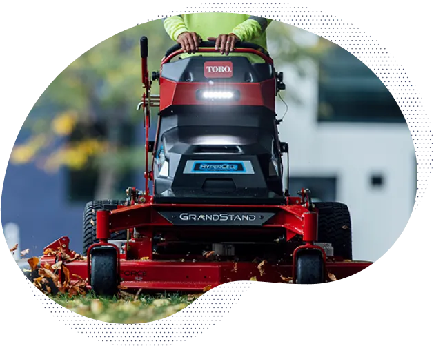 Absorb-Upskilling-LP-Toro