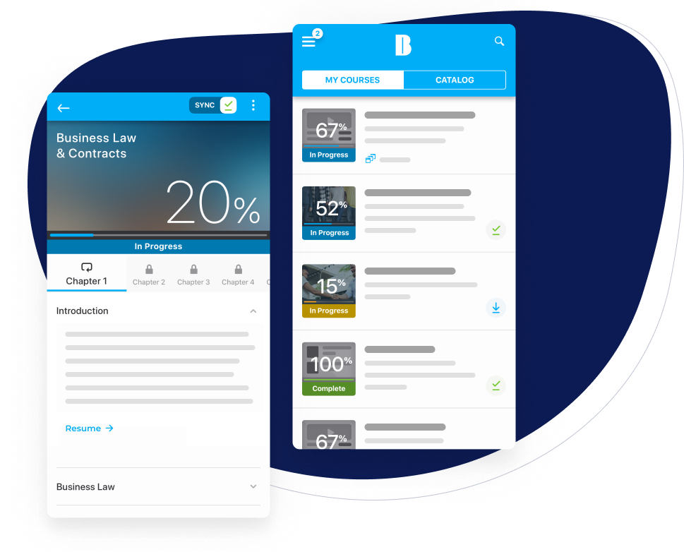 Mobile-App Hero-Shape
