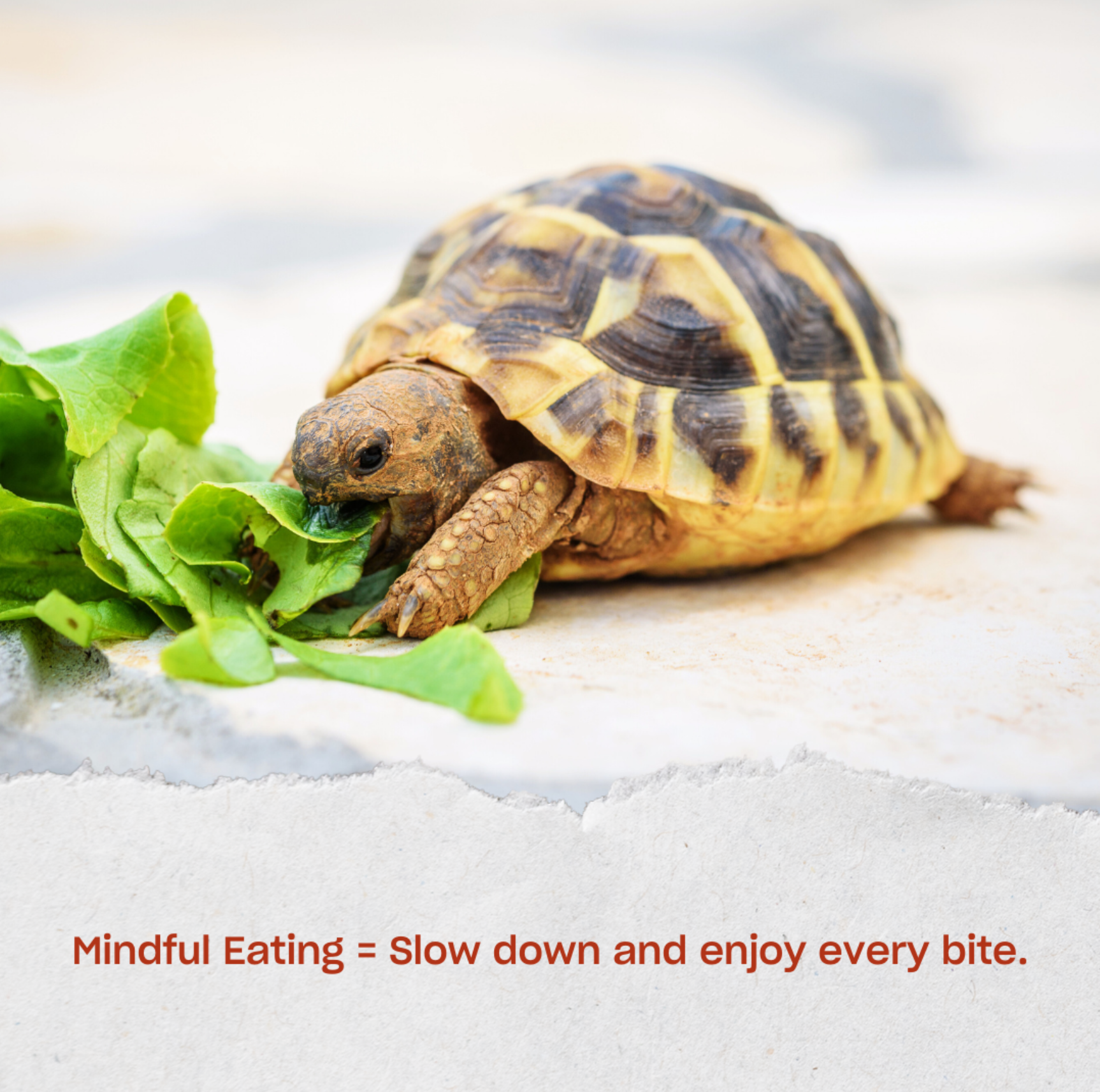 The Role of Mindful Eating in Weight Management