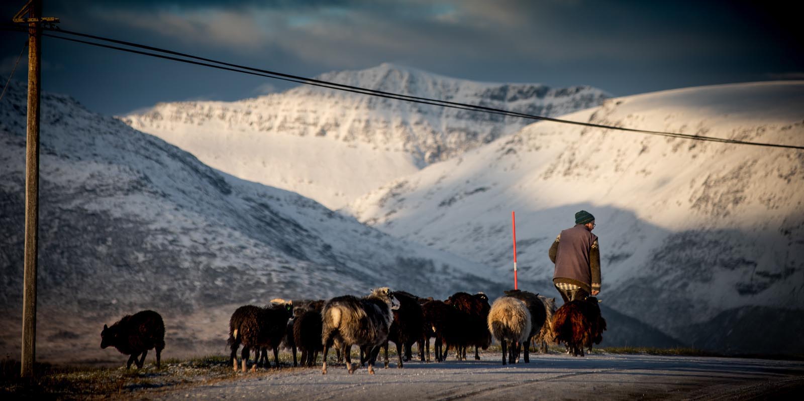 Sauer på tur - HeiBalsfjord