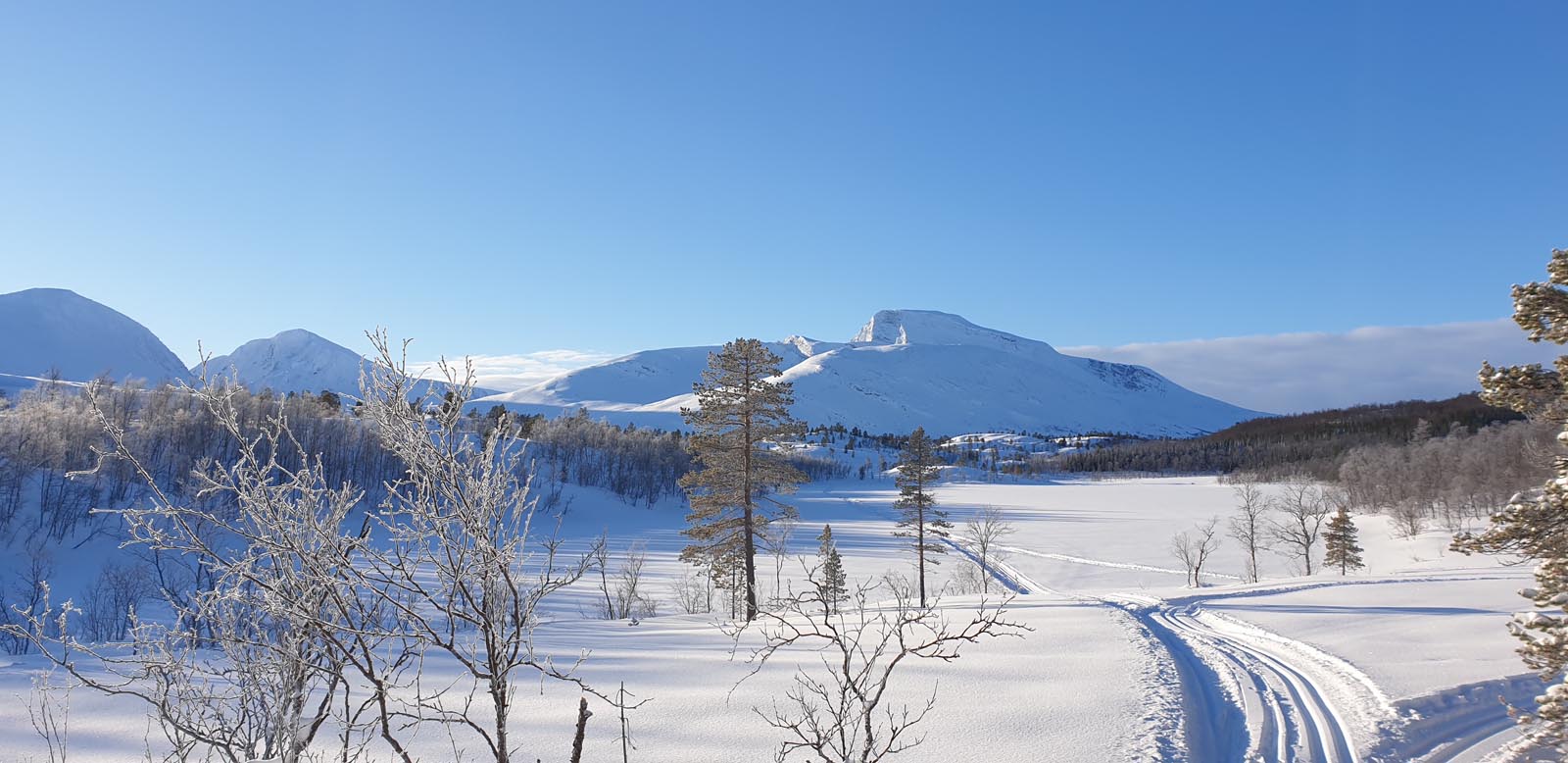 Vinter og skiføre. Foto: Balsfjord kommune.
