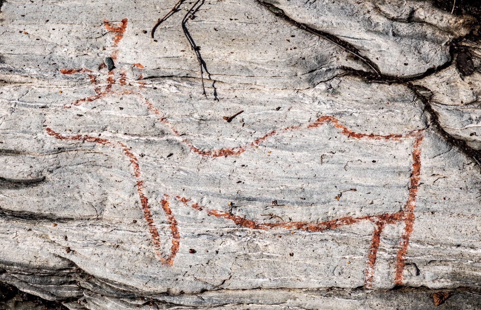 view article details