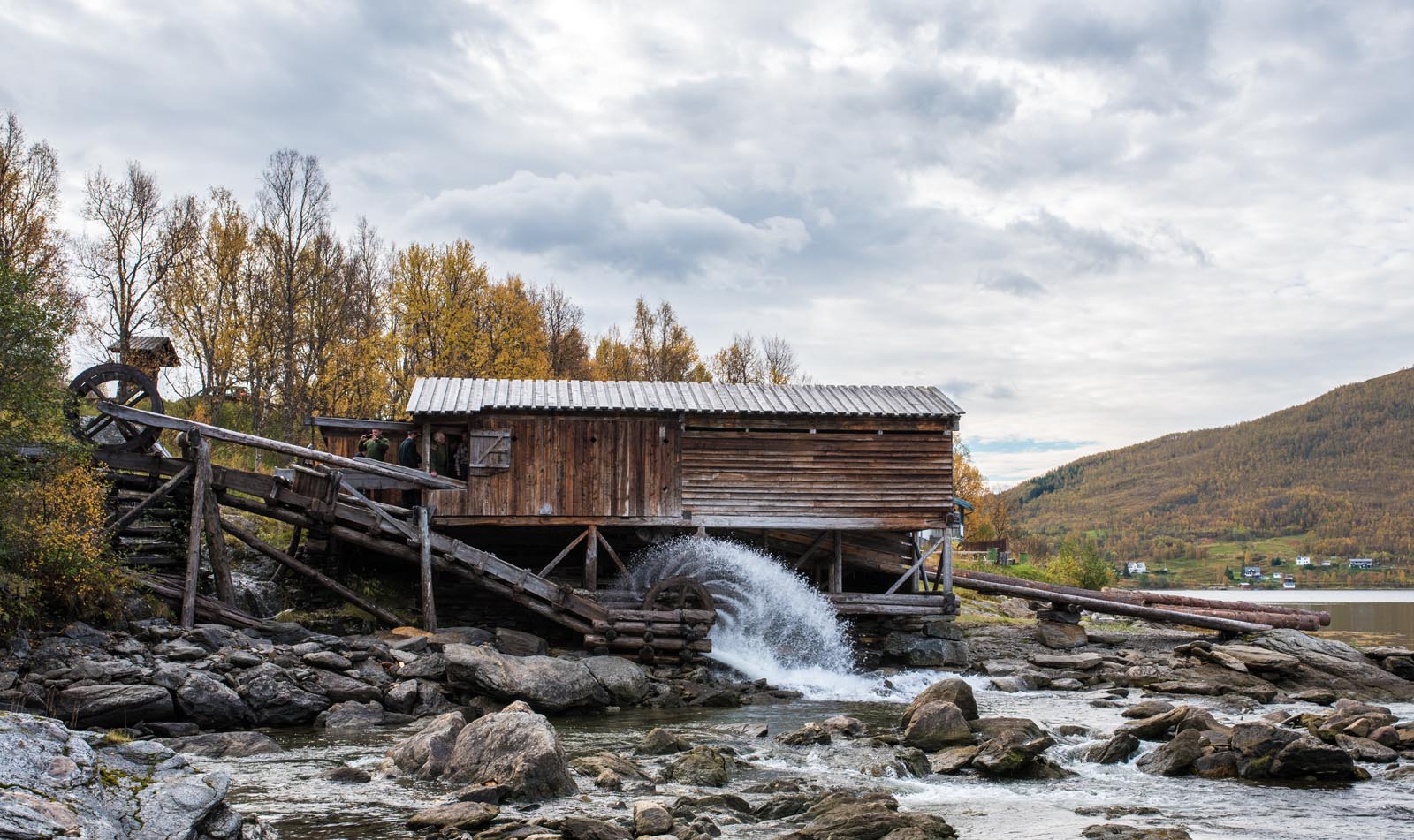 view article details