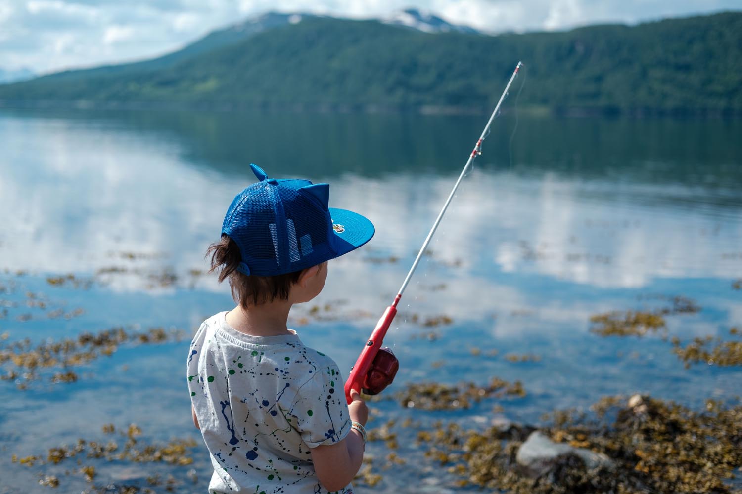 Sommer i Balsfjord – ro, natur og fiskelykke.Foto: Heibalsfjord.