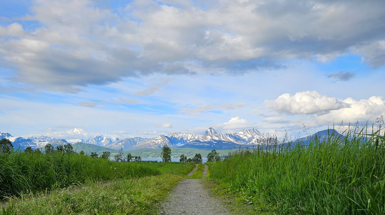 view article details