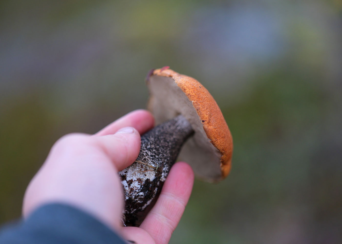 Soppsanking Foto: Hei Balsfjord