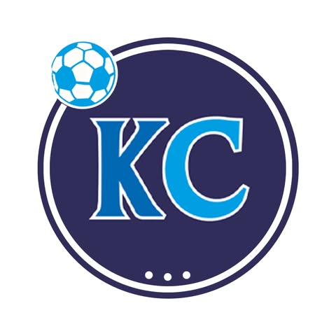 view article details