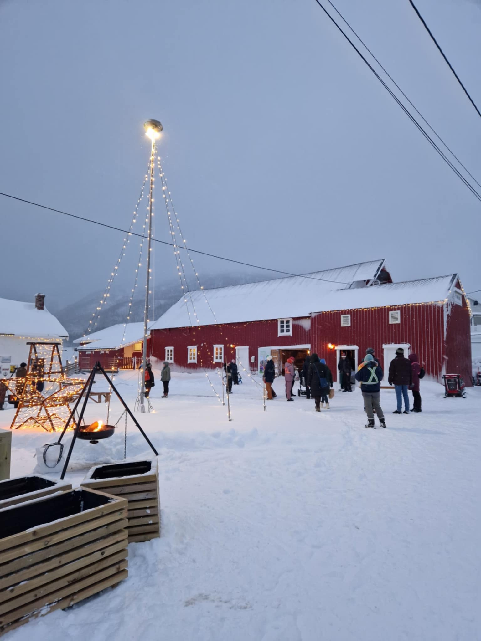 view article details