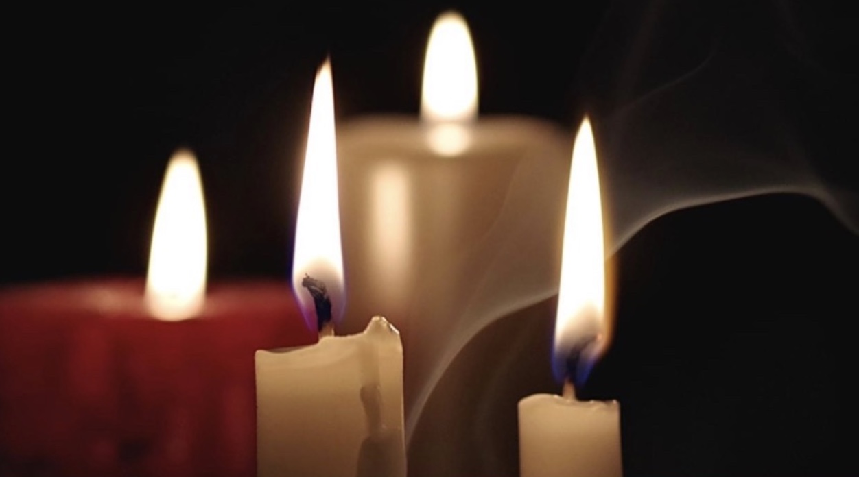 view article details