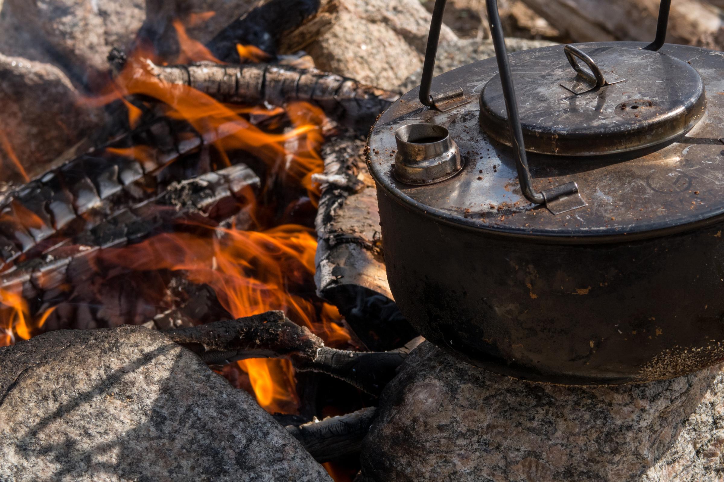 view article details