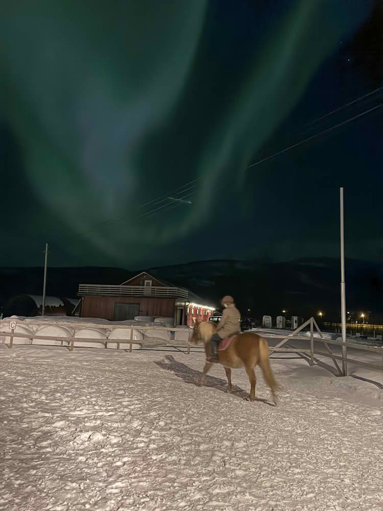 Ridning i Balsfjord under nordlyset. foto: Inger Gåre