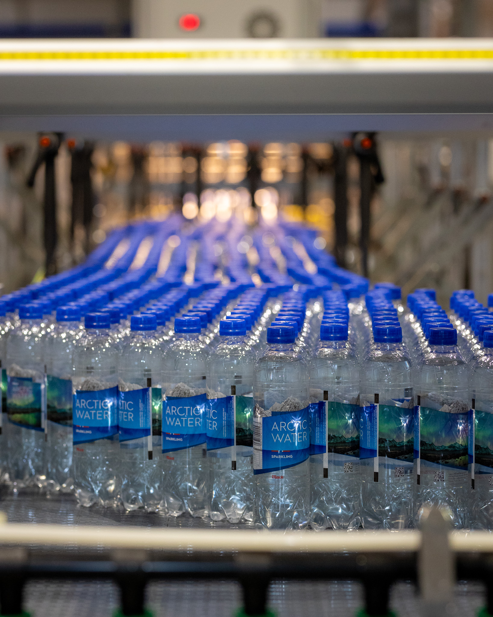 view article details