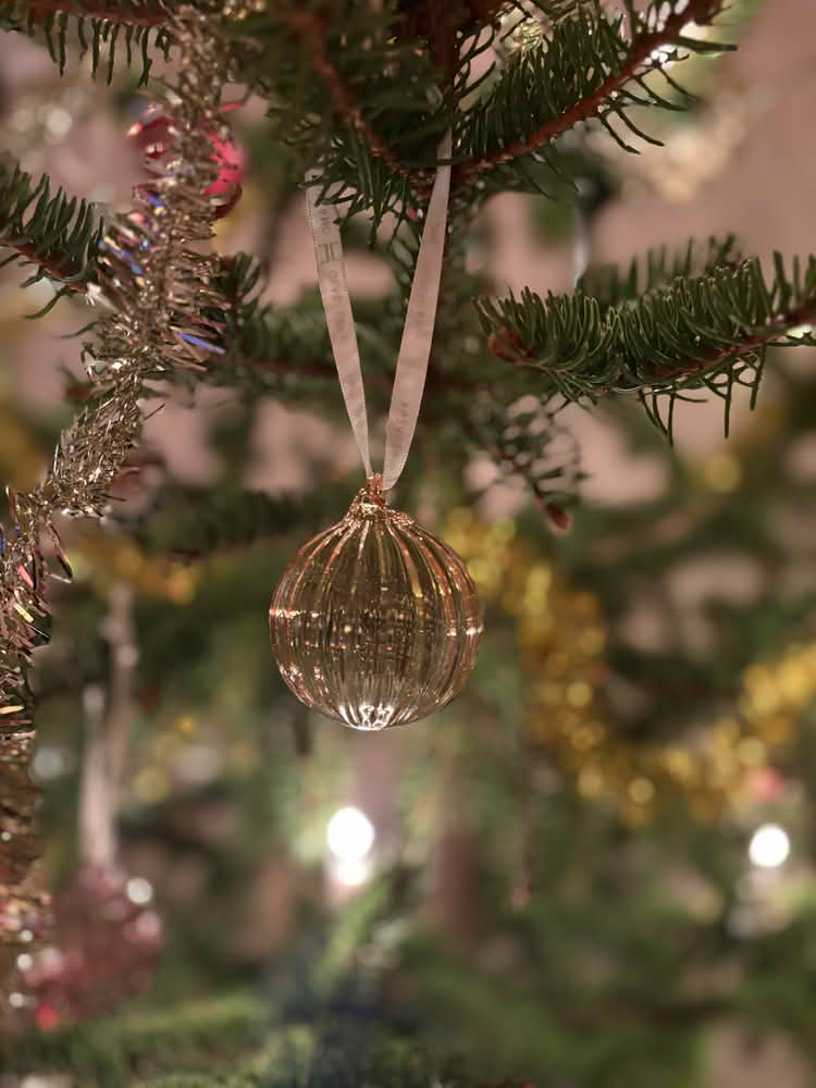 view article details