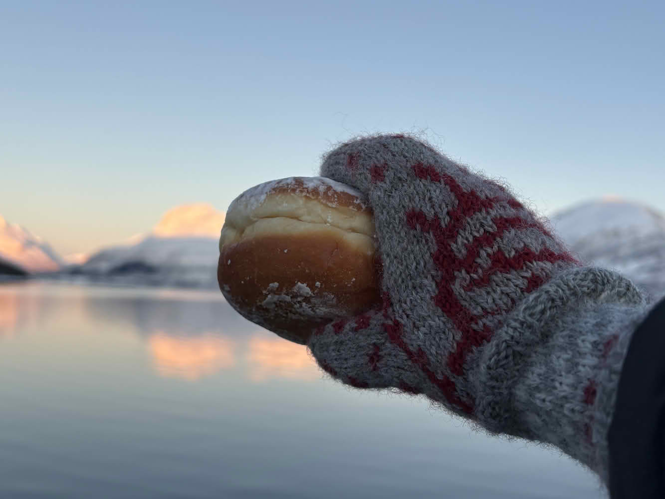 view article details