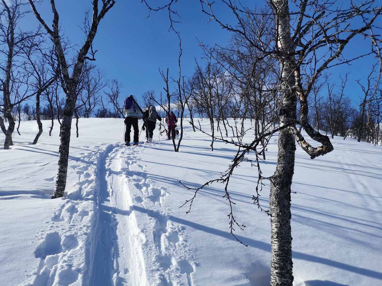 view article details