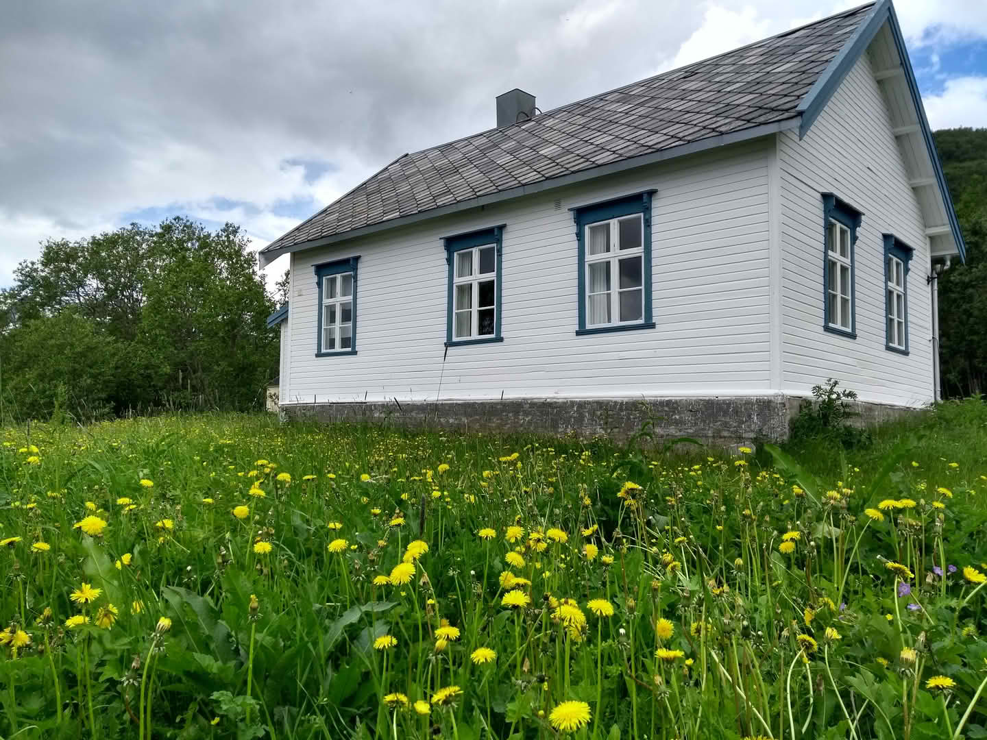 Sankthansfeiring med Humla