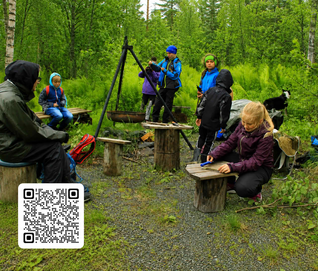 view article details