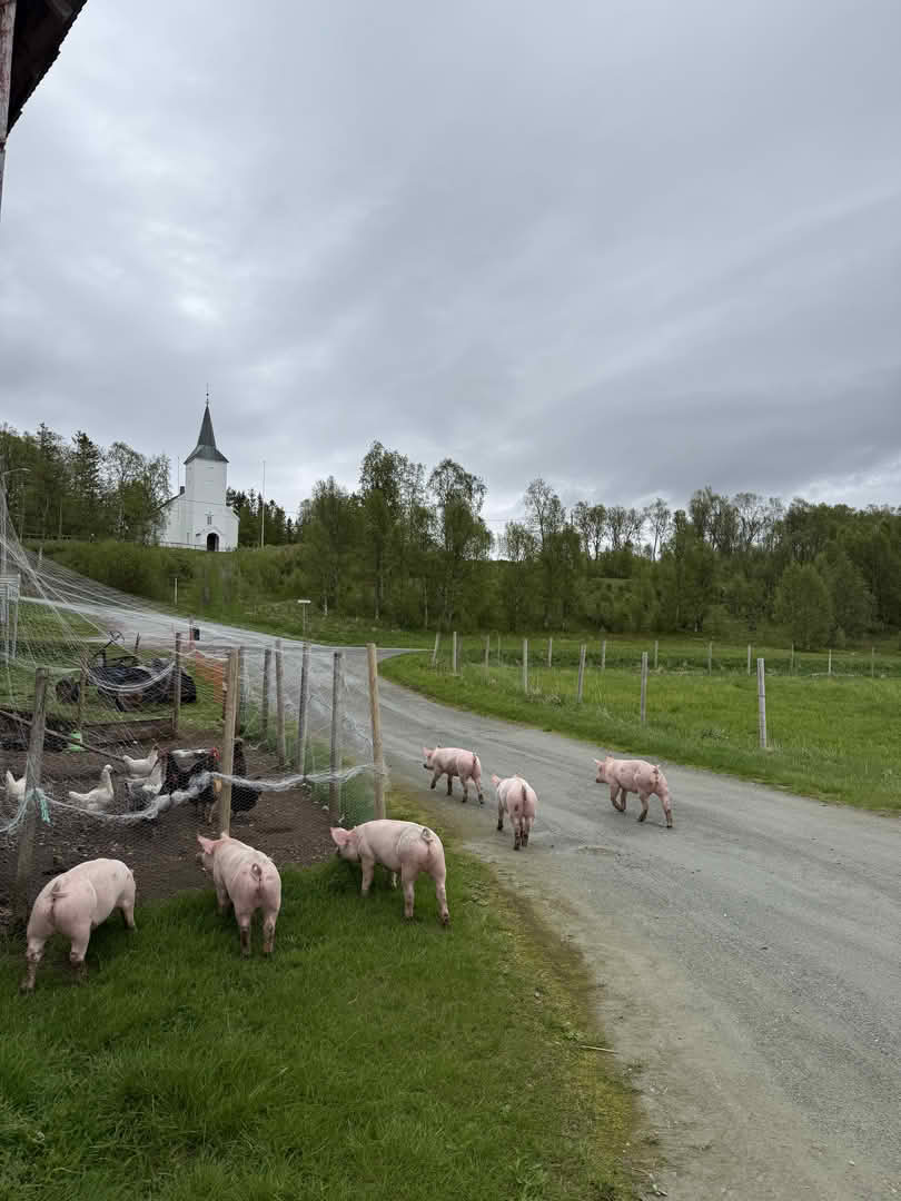 Mortenhals gård og handelssted