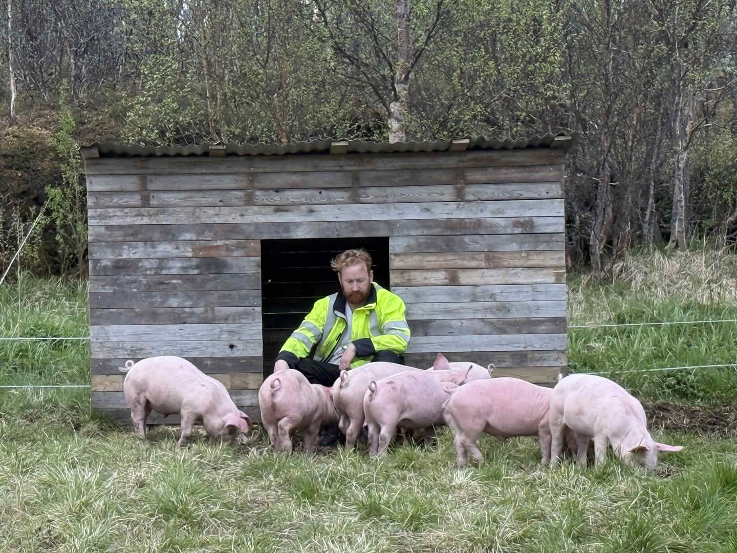 Mortenhals gård og handelssted