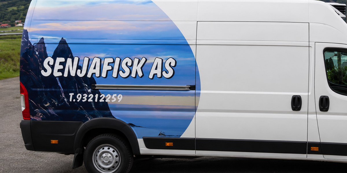 Senjafisk Storsteinnes