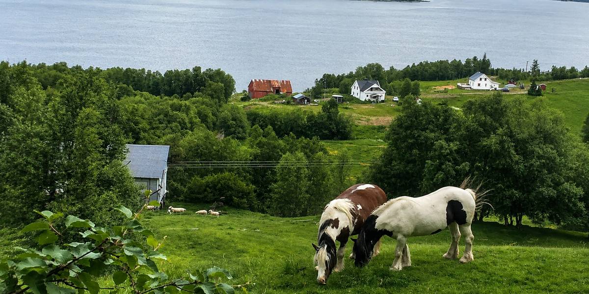 Smedvika gård