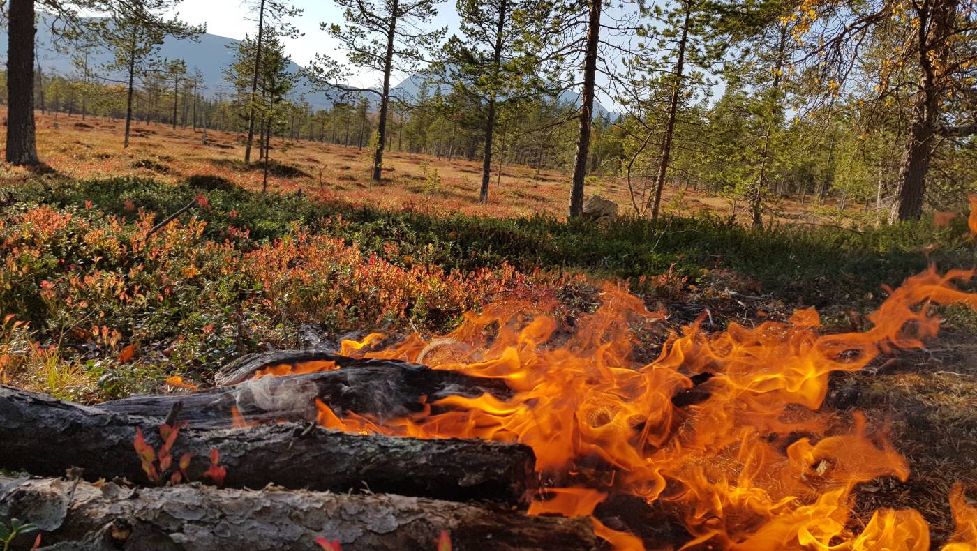 Egenberedskap i naturen