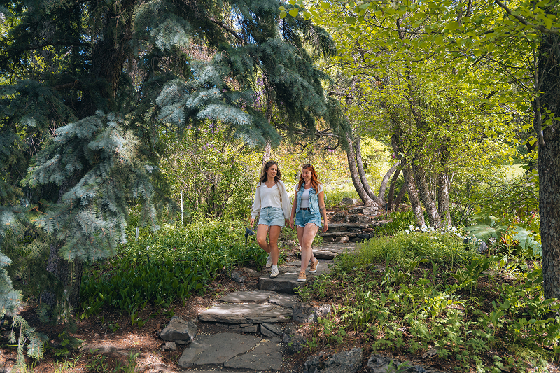 Reader Rock Garden Green.
