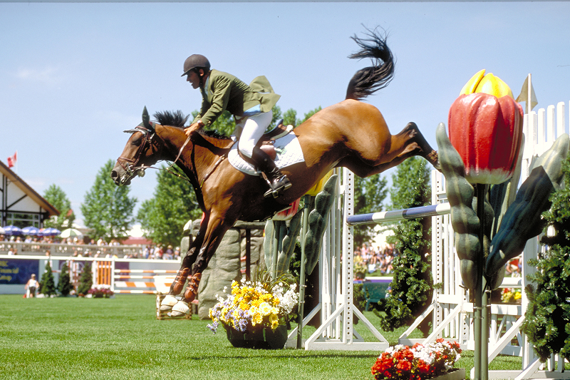 Spruce Meadows Equestrian Green.
